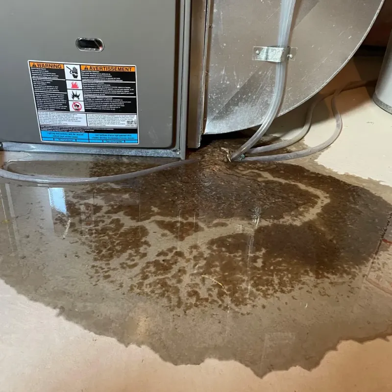 Appliance Leak Cleanup in Middlesex, NJ